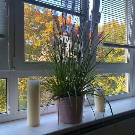 Privatapartment Relax-inn, Netflix & Sky Tv! *